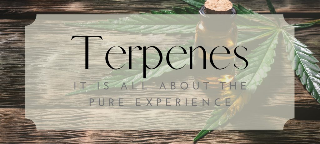Terpenes - It is all about the experience.